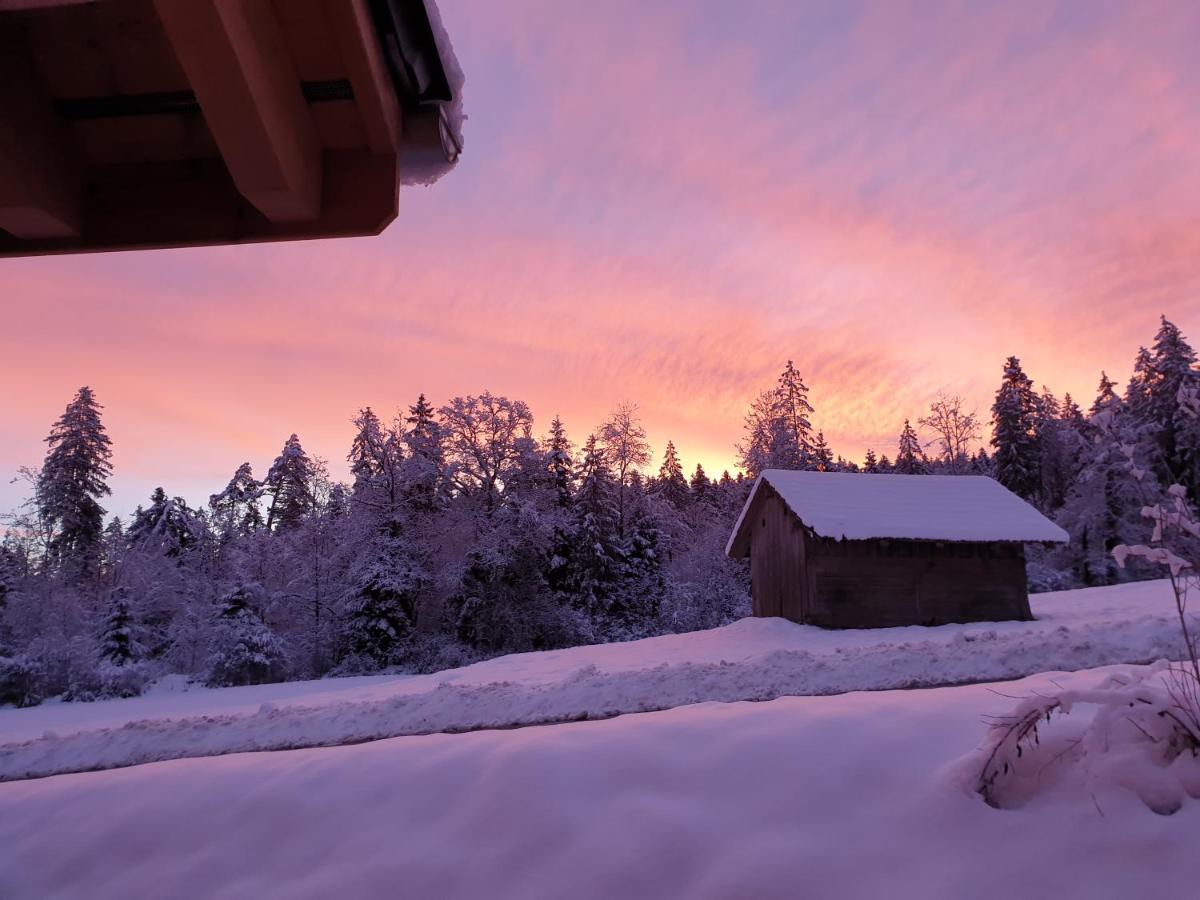 Gantrisch Lodge Ruschegg エクステリア 写真
